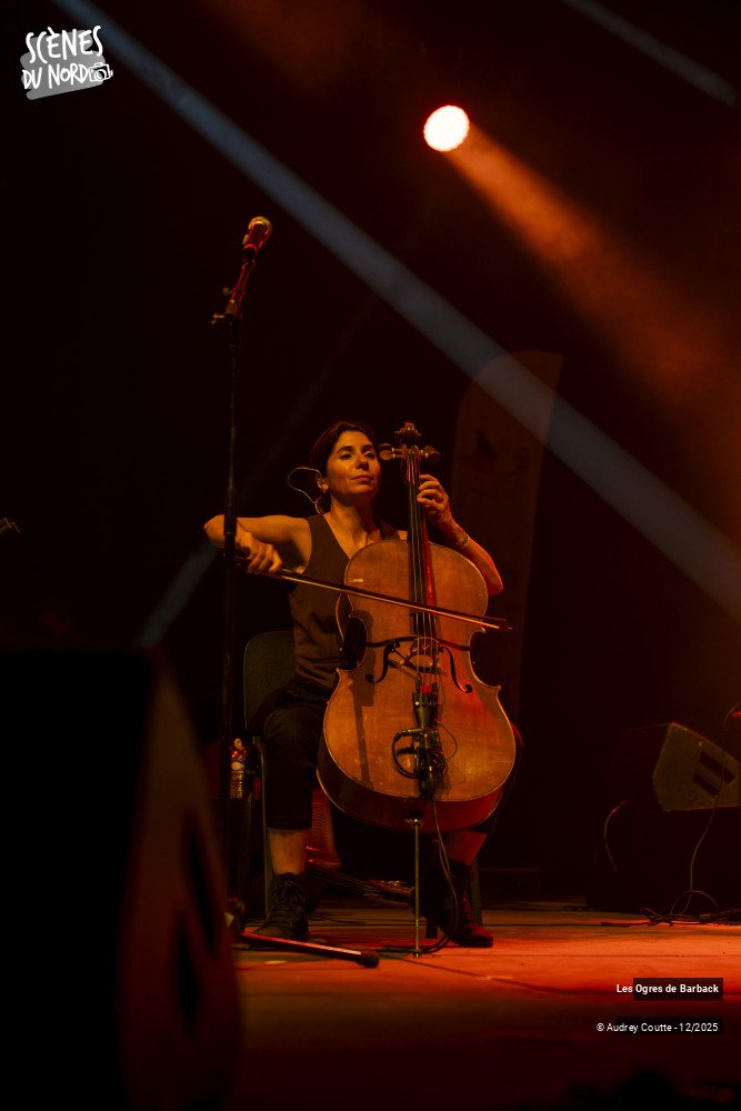 5/8 photos du spectacle Les Ogres de Barback