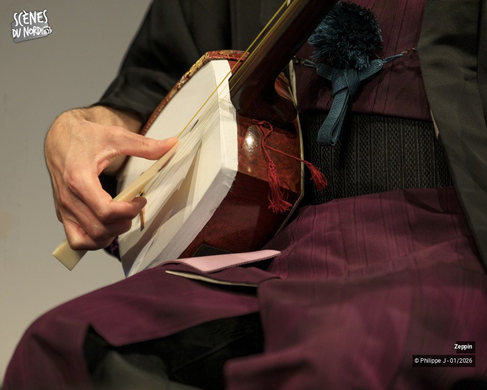 6/12 photos du spectacle Zeppin
