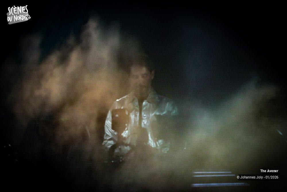 5/12 photos du spectacle The Avener