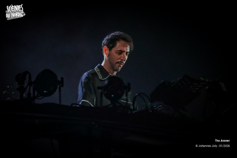 11/12 photos du spectacle The Avener