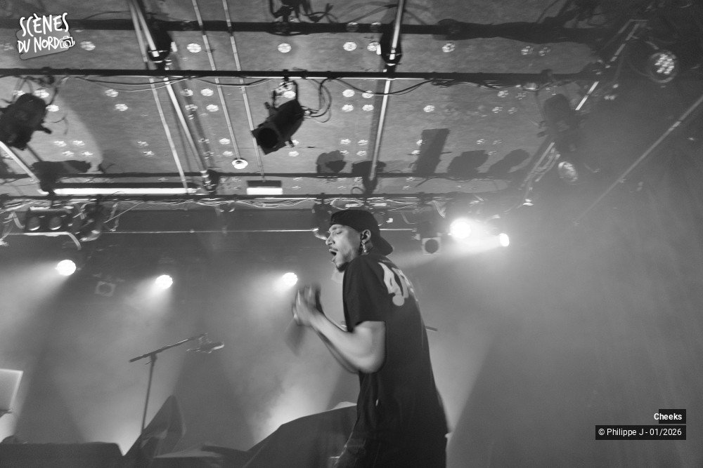 2/12 photos du spectacle Cheeks