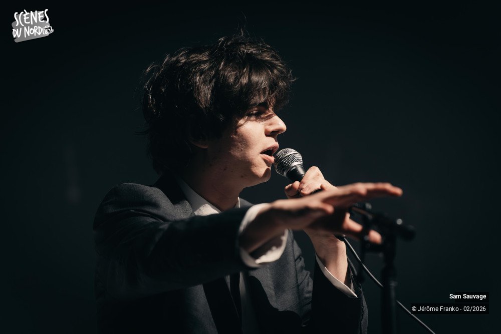 2/20 photos du spectacle Sam Sauvage