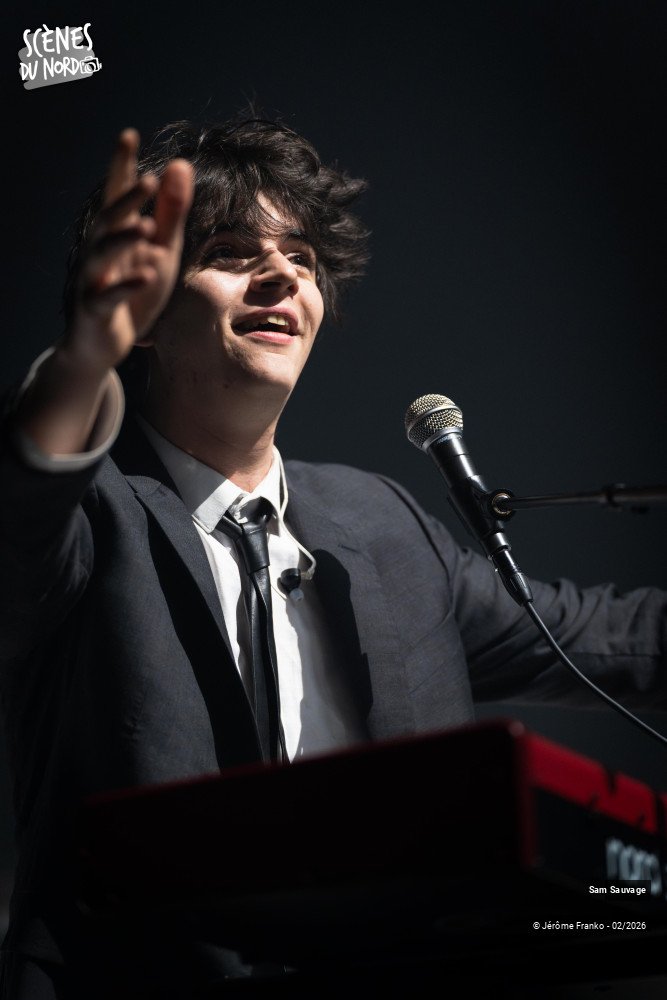 15/20 photos du spectacle Sam Sauvage