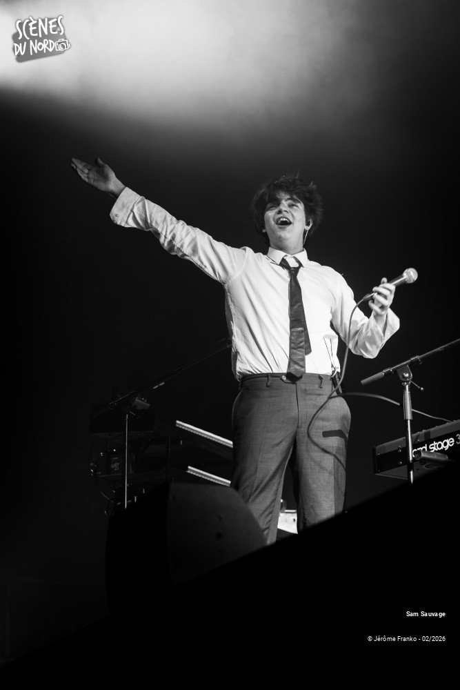 18/20 photos du spectacle Sam Sauvage