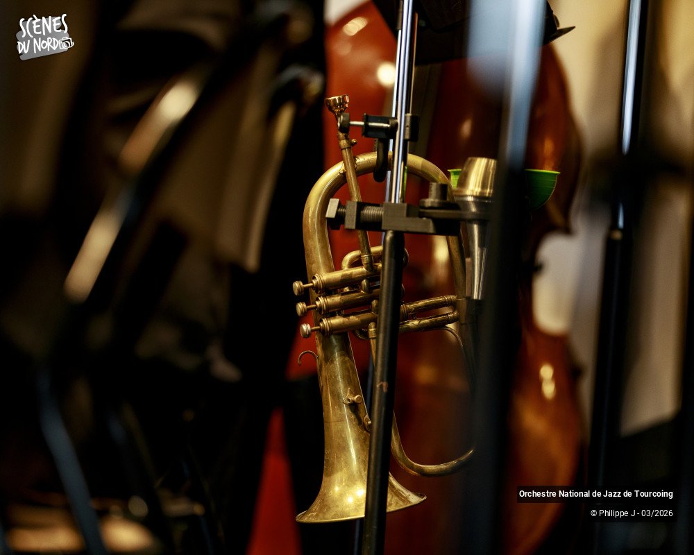 11/20 photos du spectacle Orchestre National de Jazz de Tourcoing