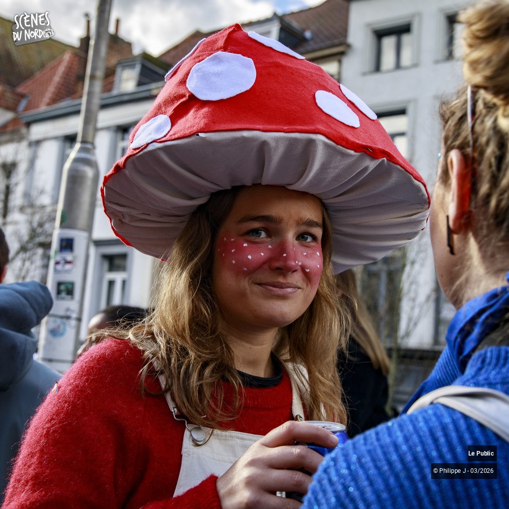 20/28 photos du spectacle Défilé du Carnaval de Tournai 2026 #1