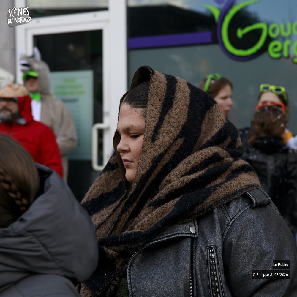 21/28 photos du spectacle Défilé du Carnaval de Tournai 2026 #1