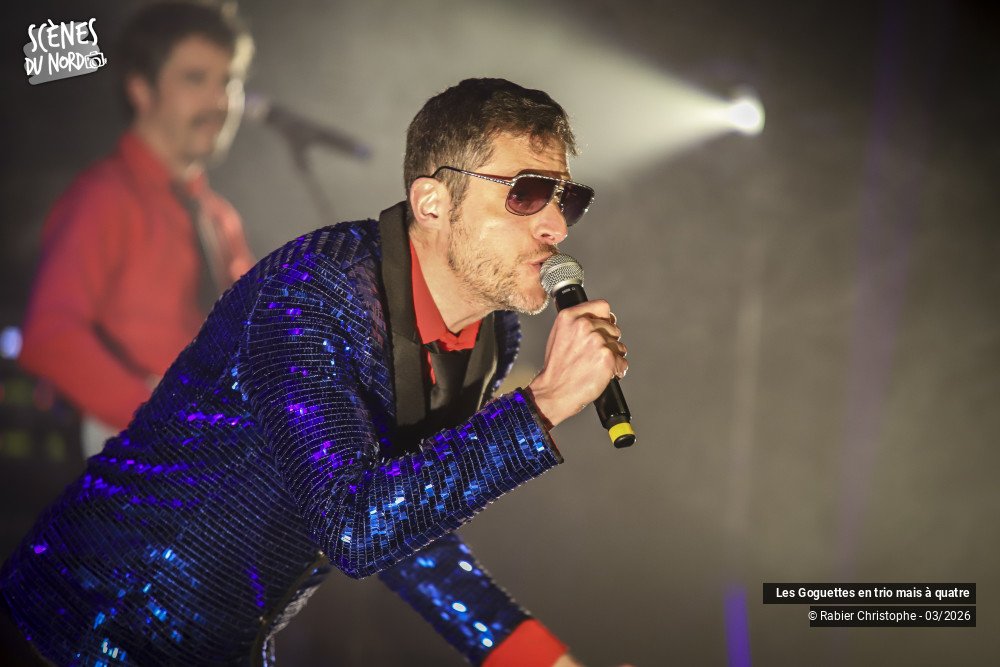 3/20 photos du spectacle Les Goguettes