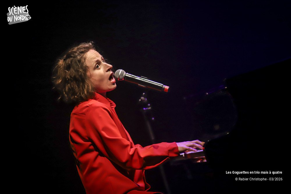 5/20 photos du spectacle Les Goguettes