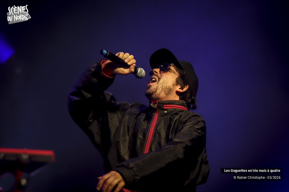 6/20 photos du spectacle Les Goguettes