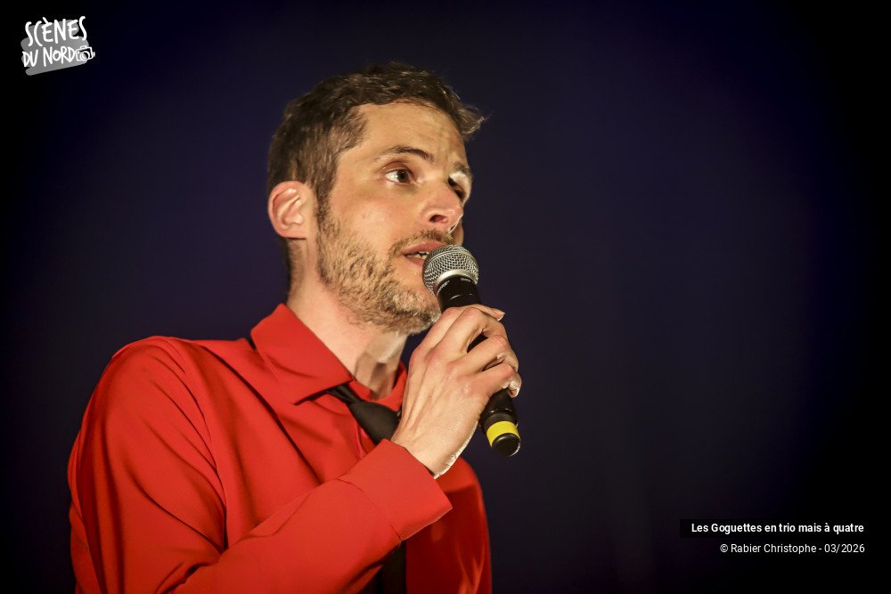 12/20 photos du spectacle Les Goguettes