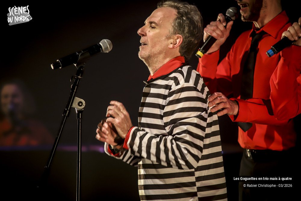 15/20 photos du spectacle Les Goguettes