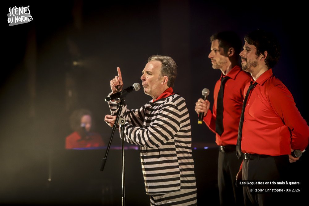 16/20 photos du spectacle Les Goguettes