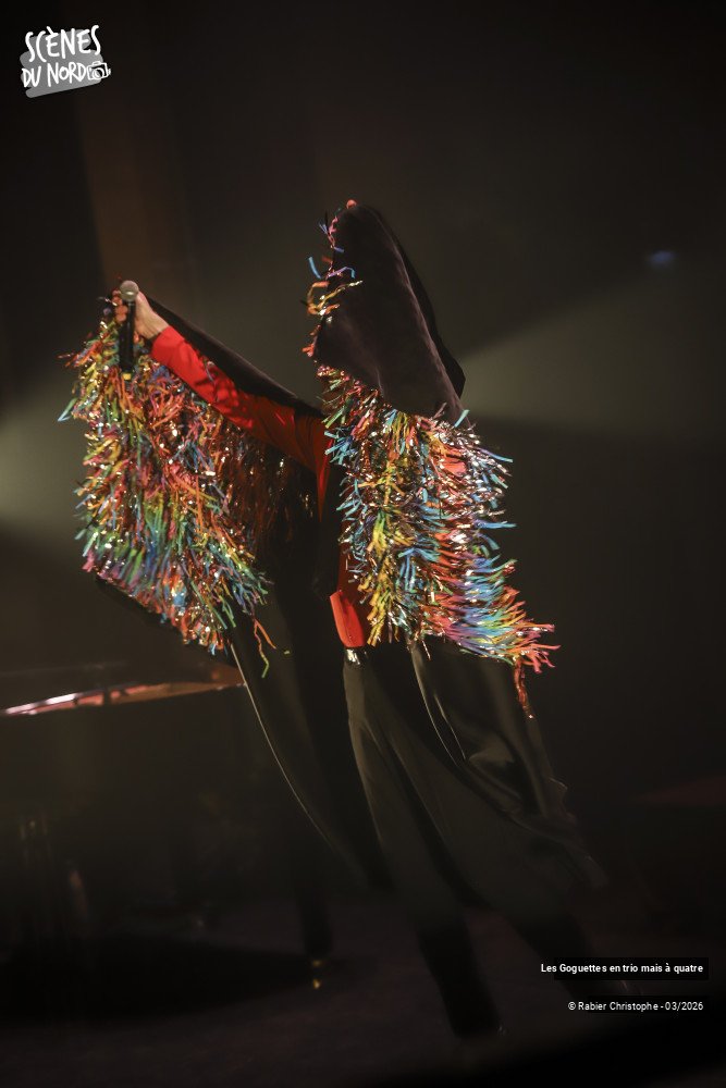 18/20 photos du spectacle Les Goguettes