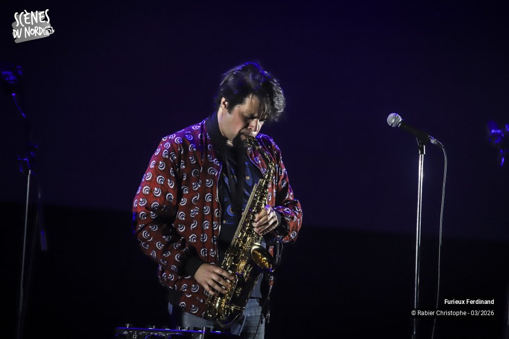 7/20 photos du spectacle Furieux Ferdinand