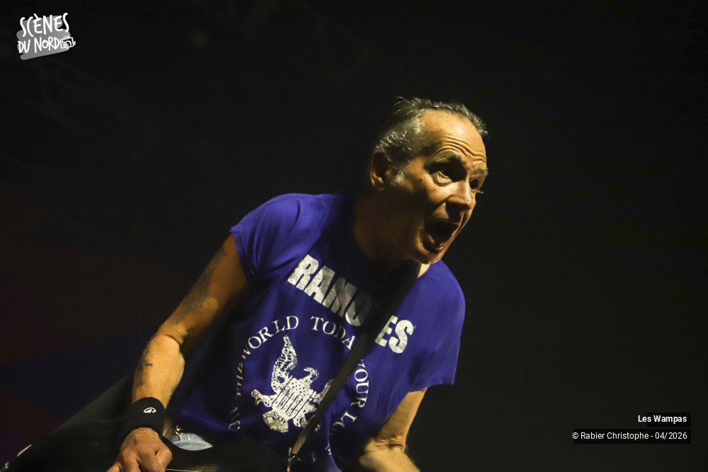 3/20 photos du spectacle Les Wampas