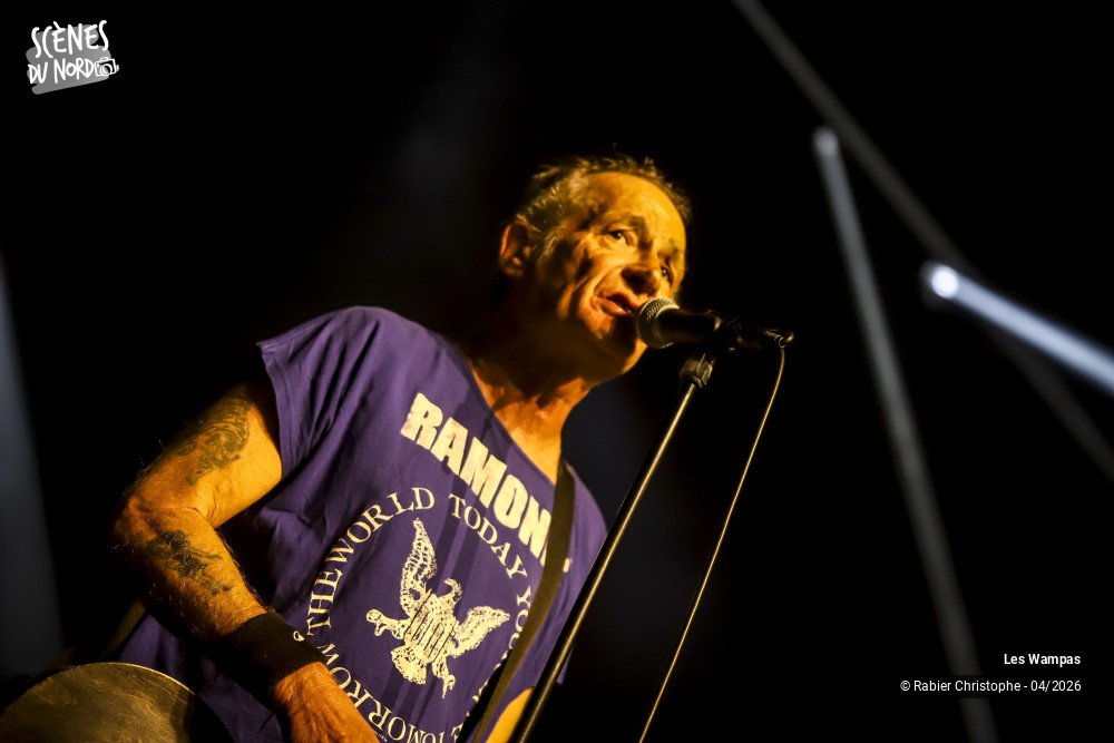 8/20 photos du spectacle Les Wampas