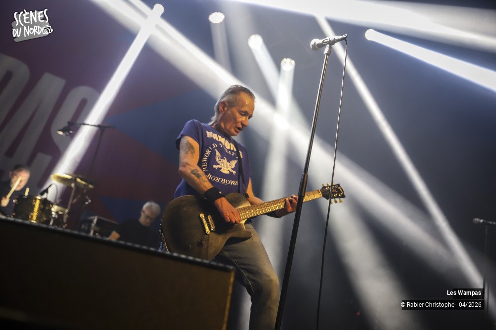 11/20 photos du spectacle Les Wampas