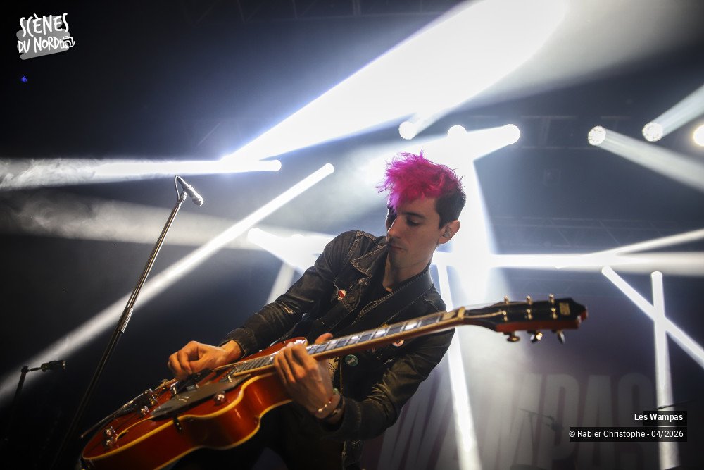 12/20 photos du spectacle Les Wampas