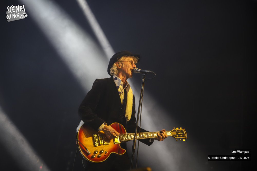 14/20 photos du spectacle Les Wampas