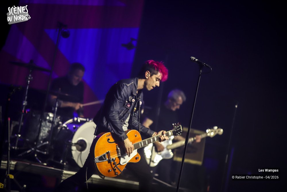 16/20 photos du spectacle Les Wampas