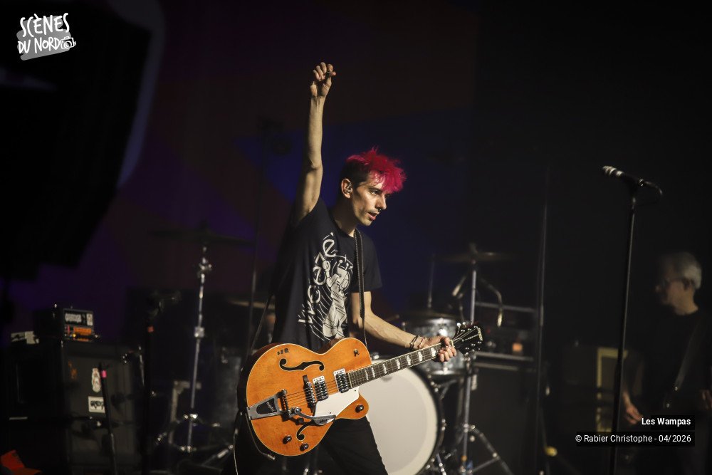 18/20 photos du spectacle Les Wampas