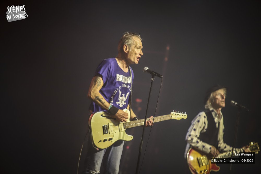 19/20 photos du spectacle Les Wampas