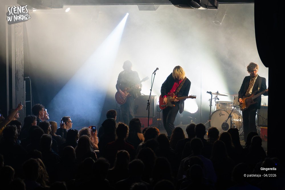 11/12 photos du spectacle Gingerella