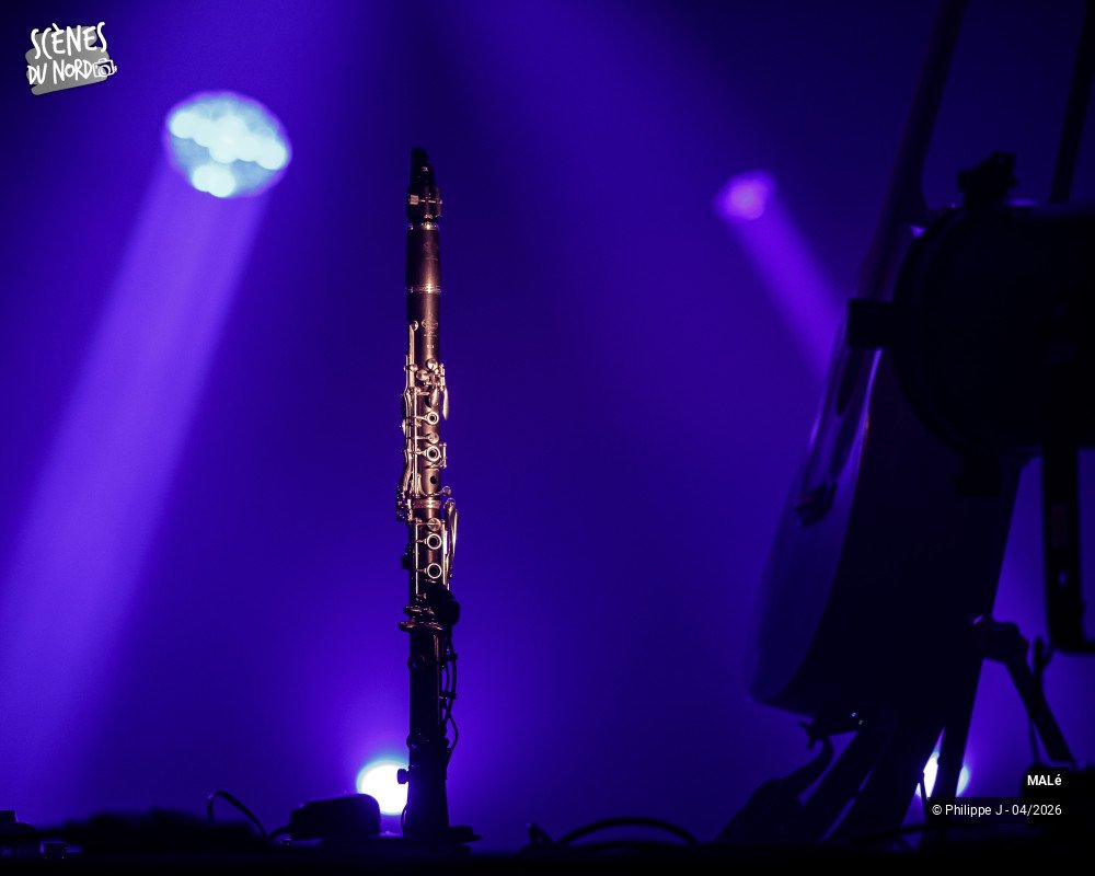 16/16 photos du spectacle MALé