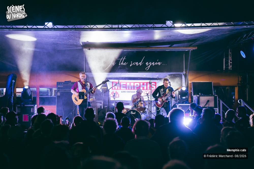 6/8 photos du spectacle Memphis Cats