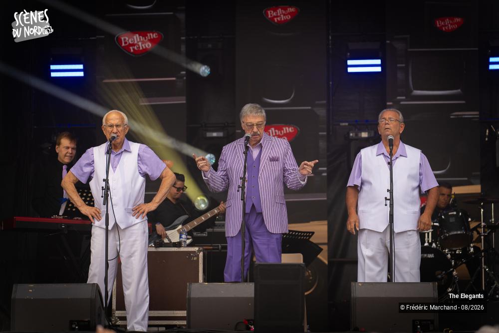 2/12 photos du spectacle The Elegants