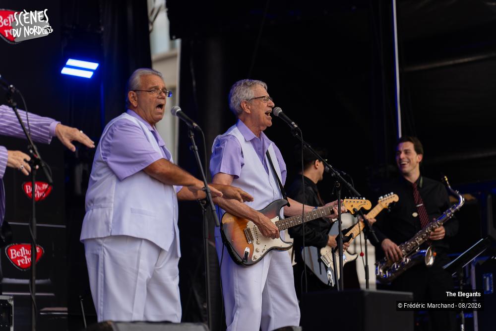 3/12 photos du spectacle The Elegants