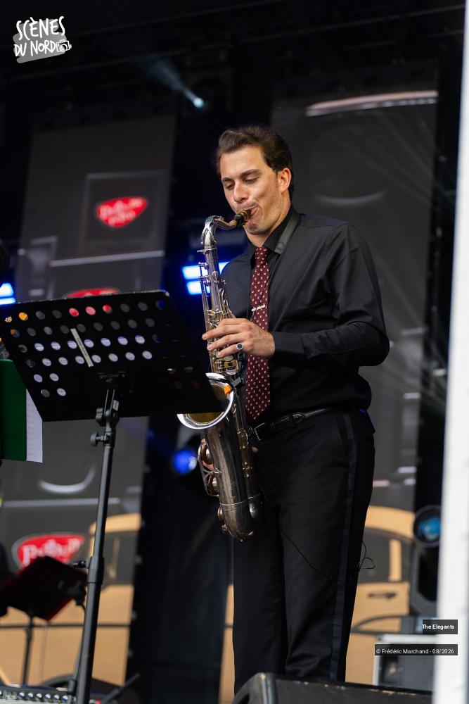 5/12 photos du spectacle The Elegants