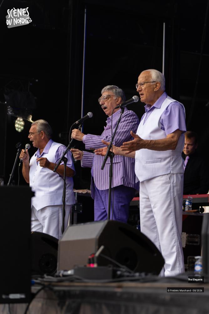 6/12 photos du spectacle The Elegants
