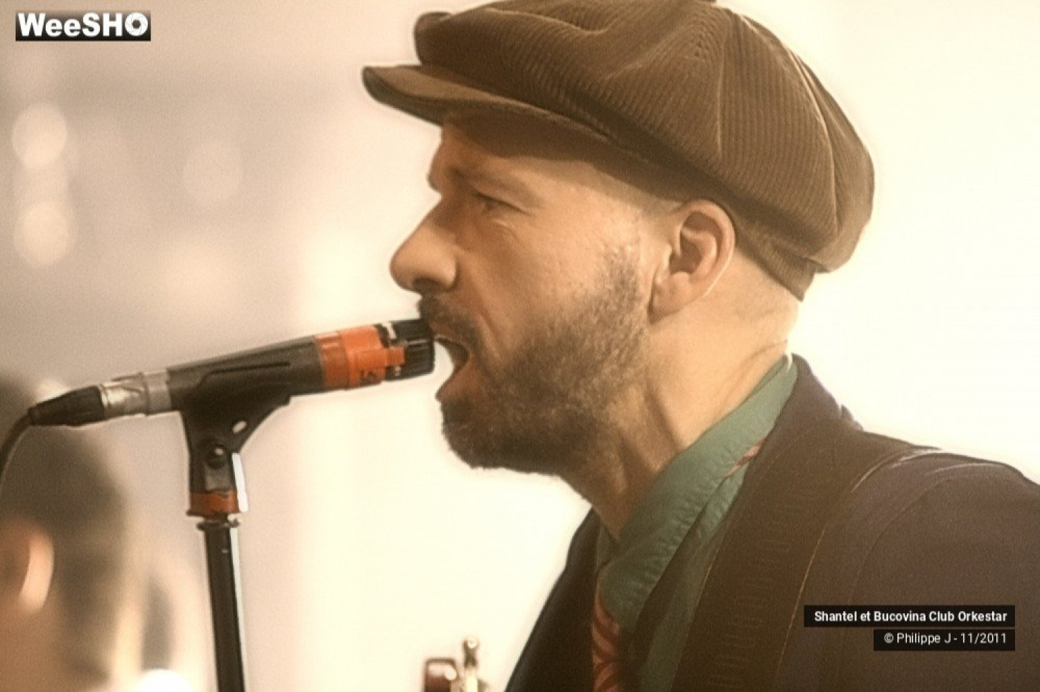 Shantel et Bucovina Club Orkestar