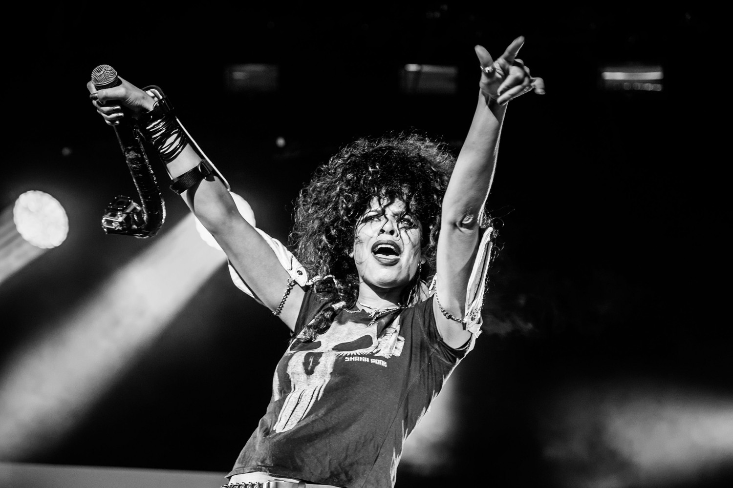Shaka Ponk