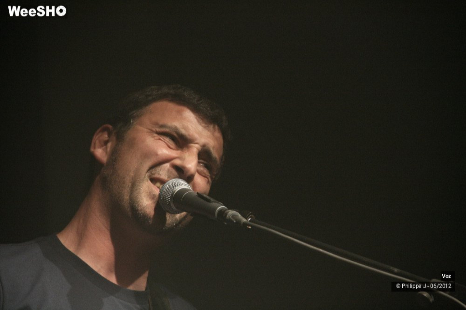 Voz