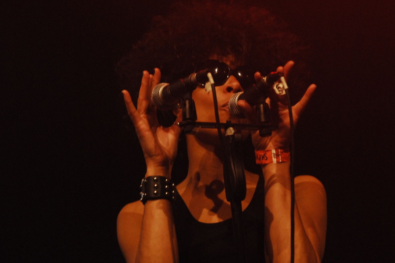 Shaka Ponk