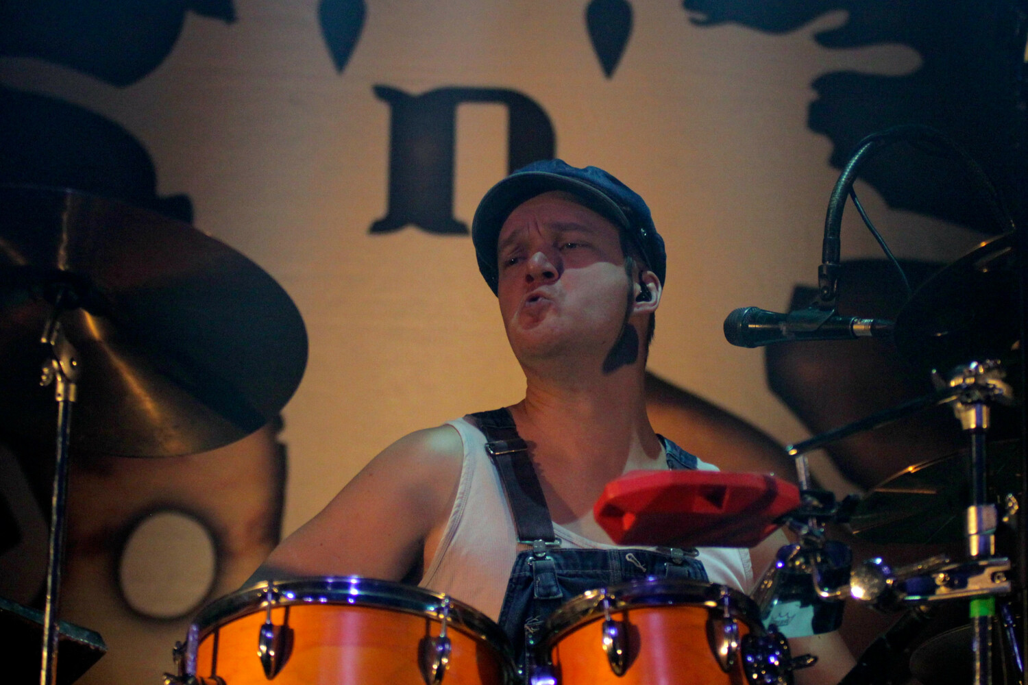 Steve'n'Seagulls