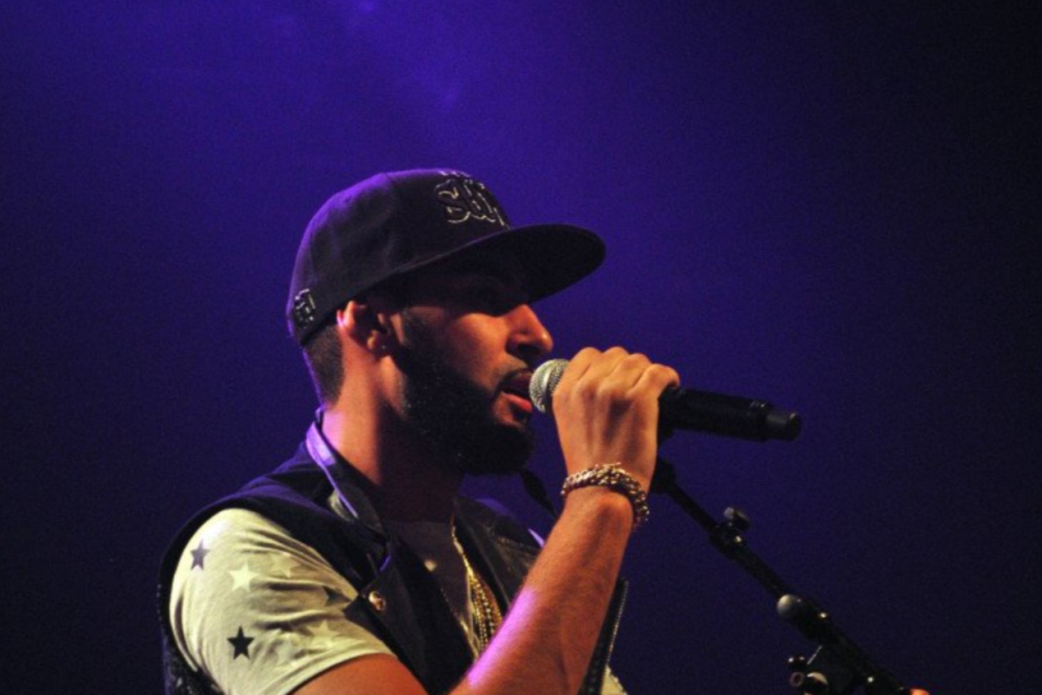 La fouine