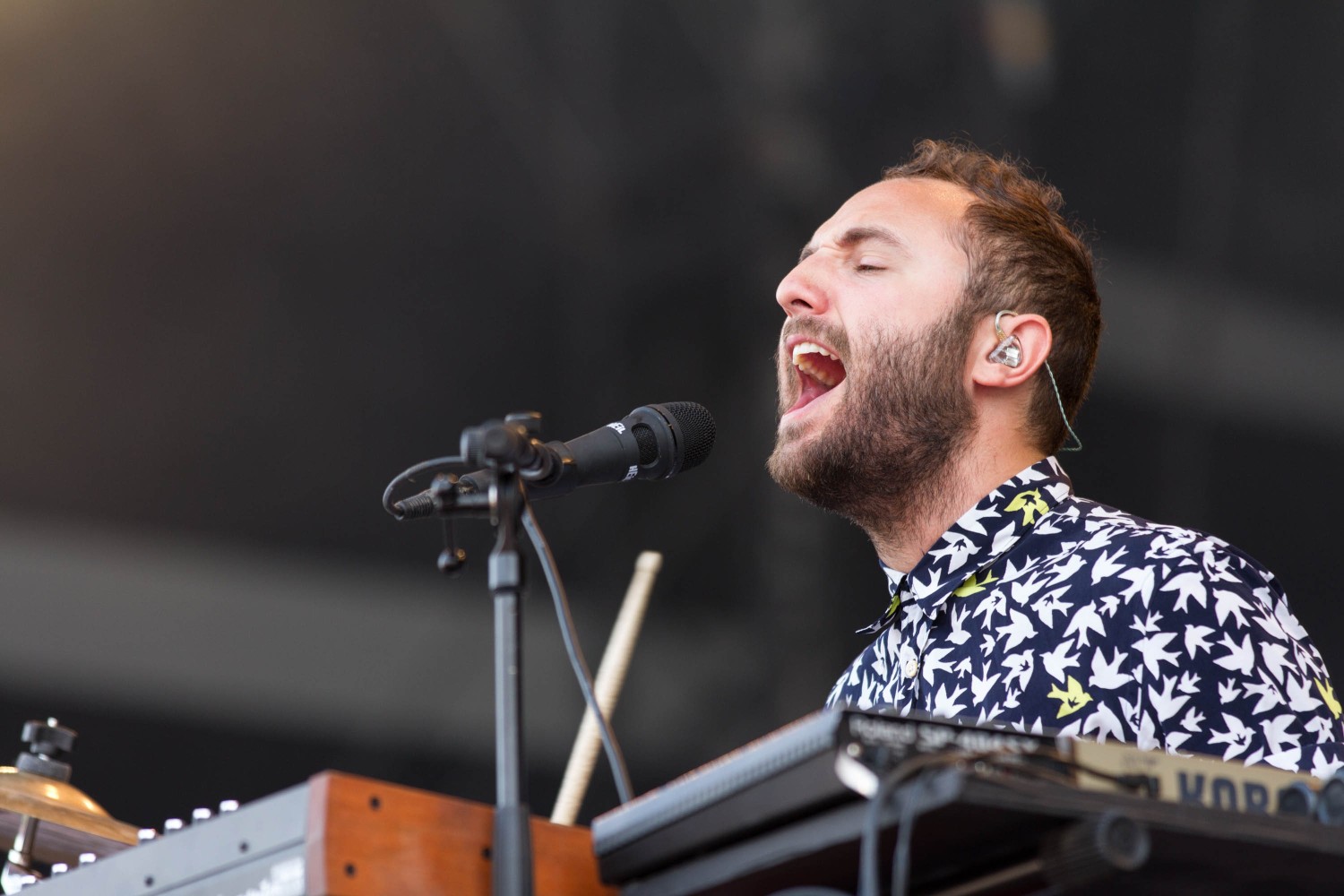 Local Natives