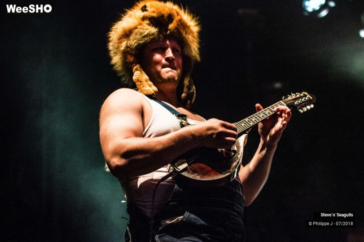 Steve 'N' Seagulls