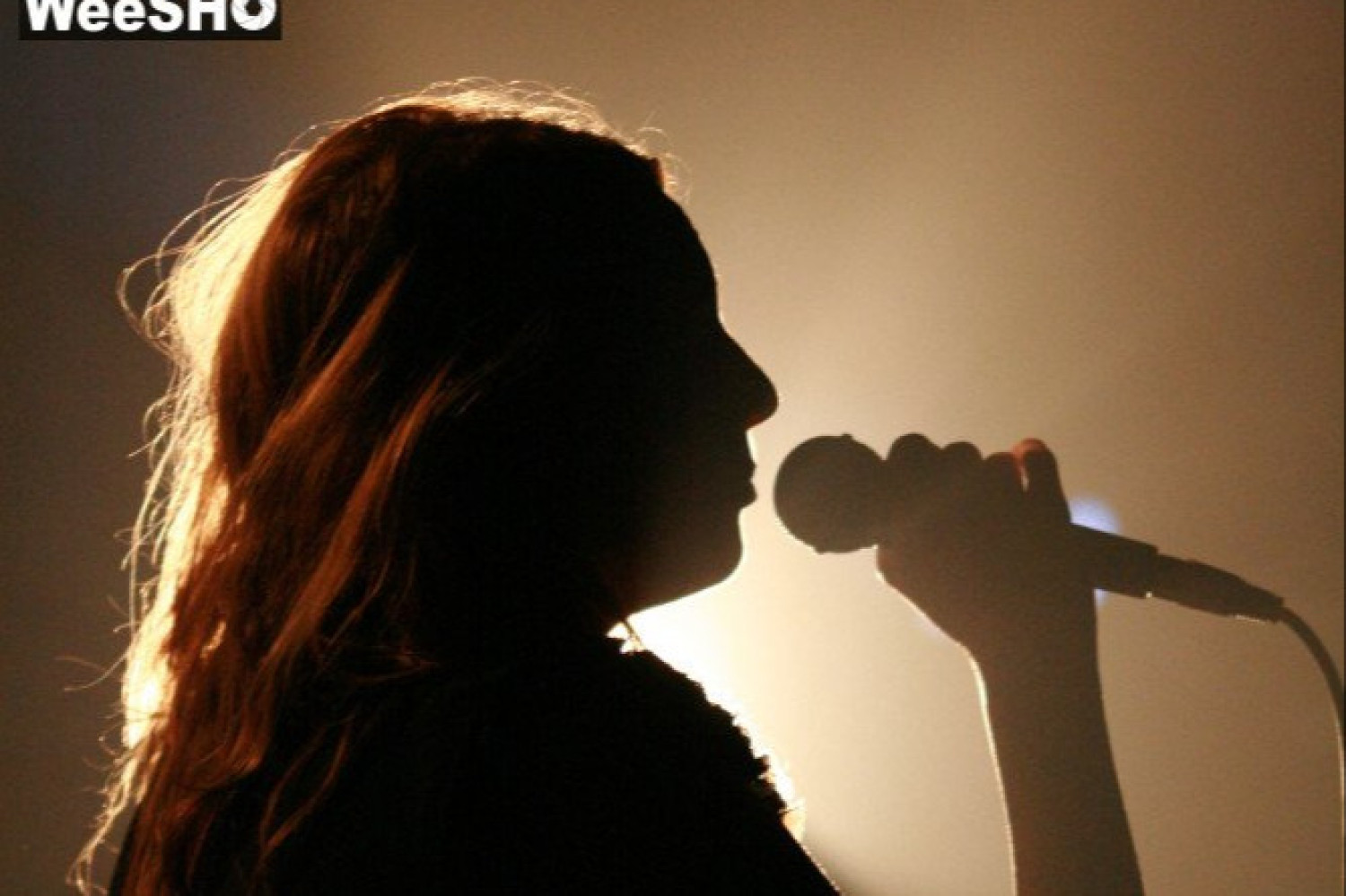 L (Raphaële Lannadère)