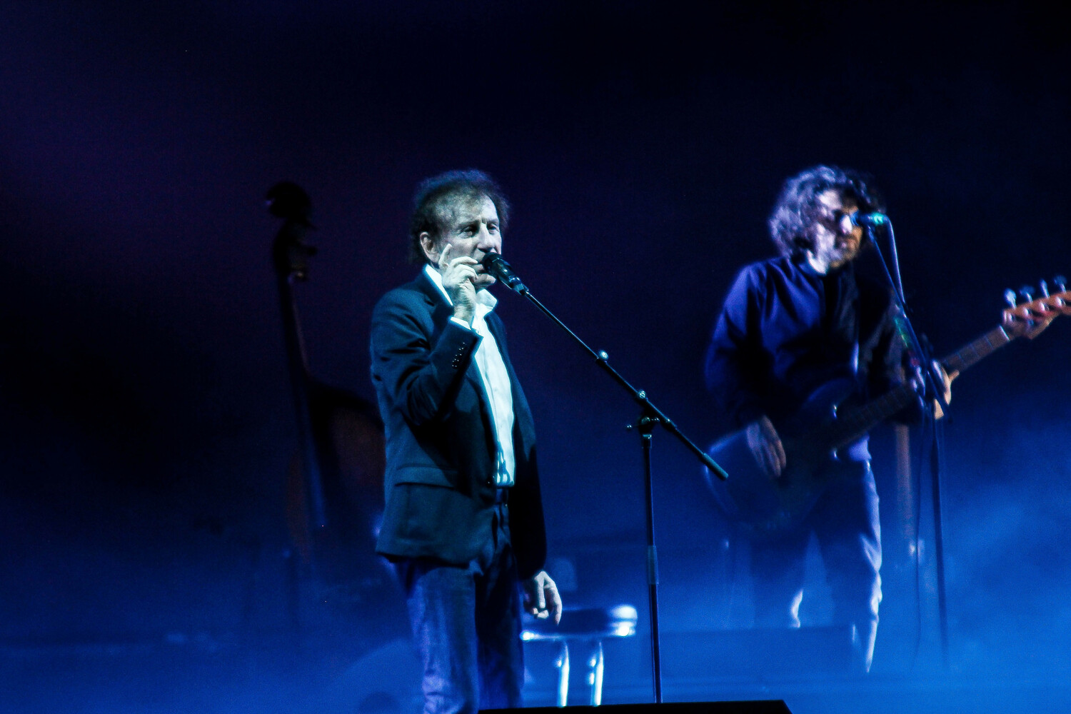 Alain Souchon