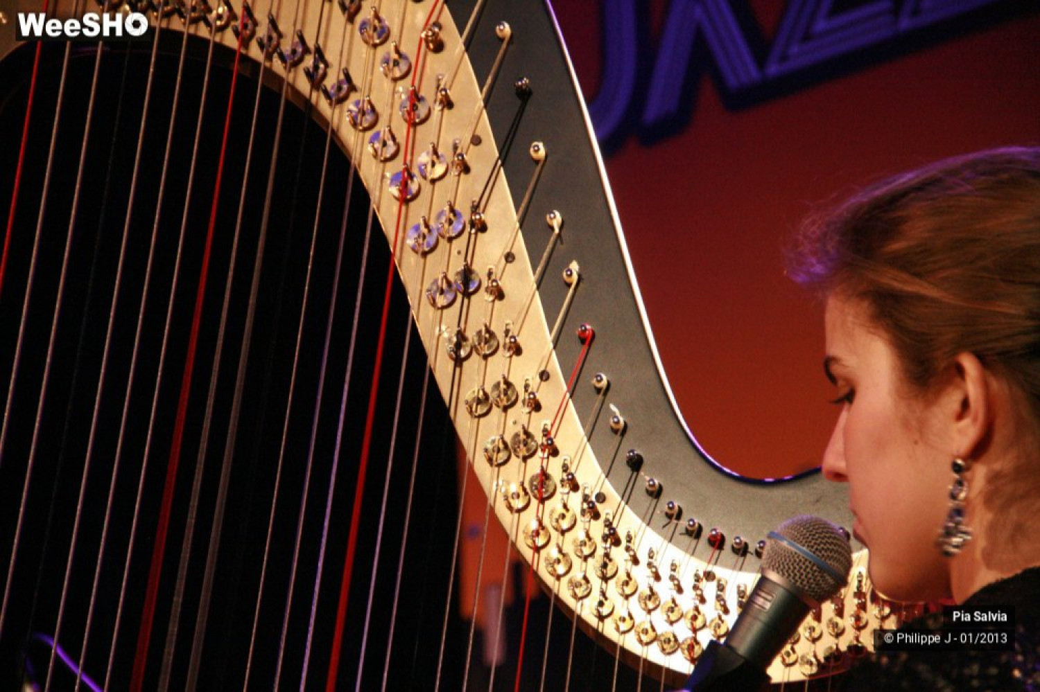 Pia Salvia