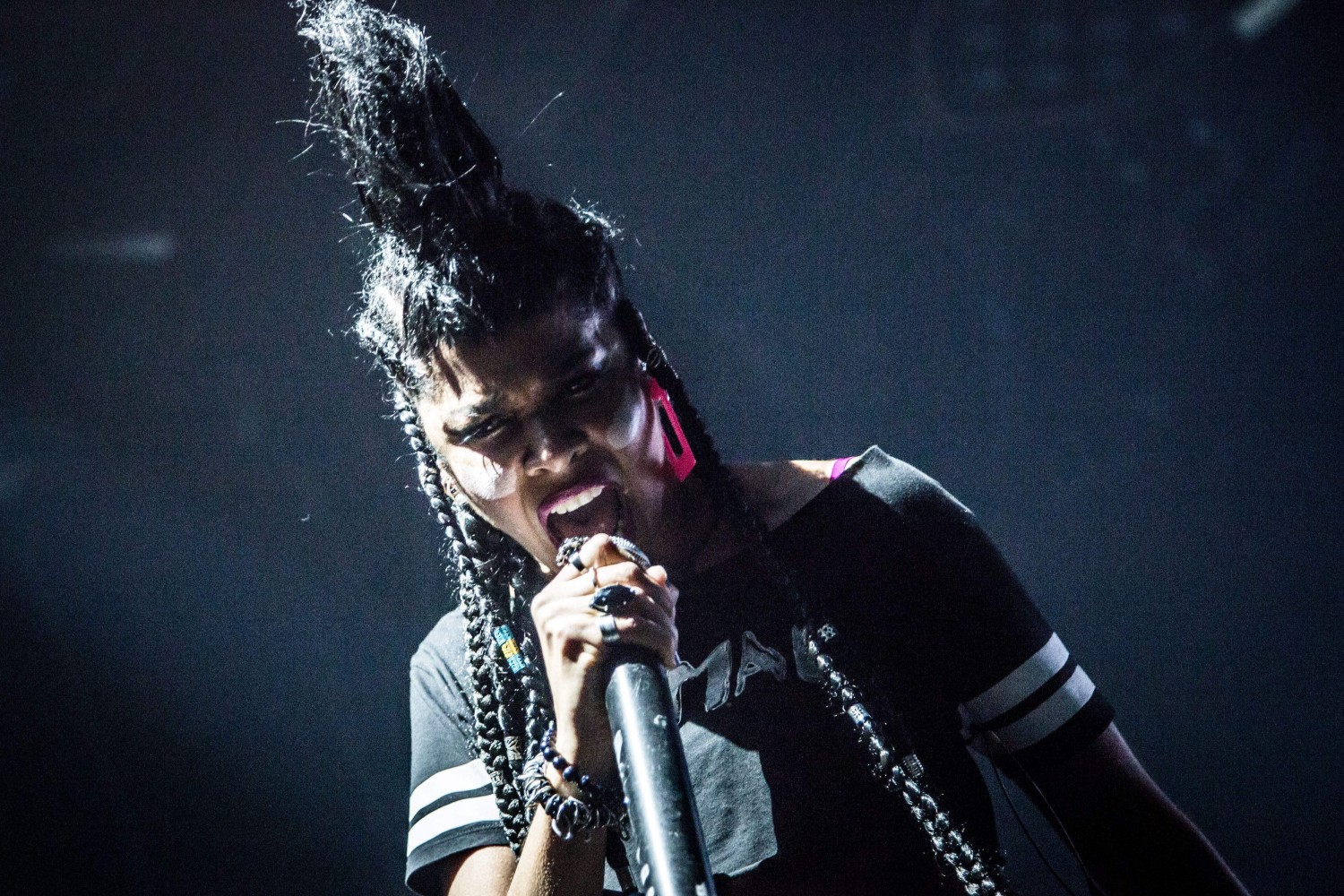 Shaka Ponk