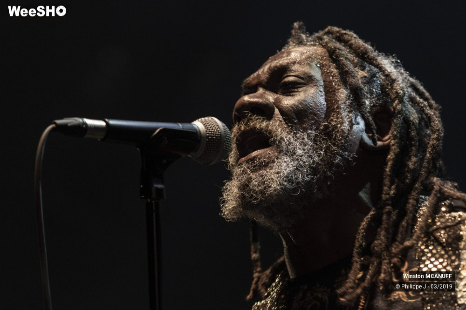 Winston Mcanuff & Fixi